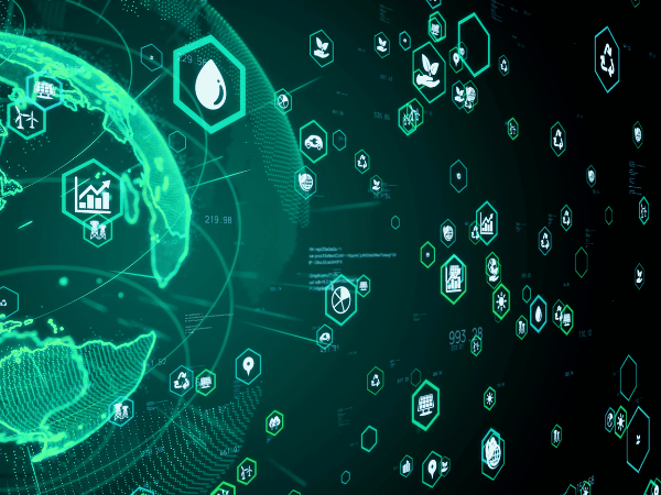 Sustainability Consulting