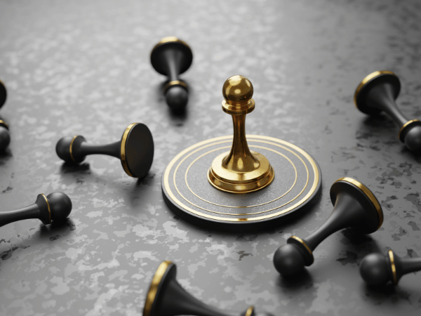 Business Diversification and Expansion
											Strategies