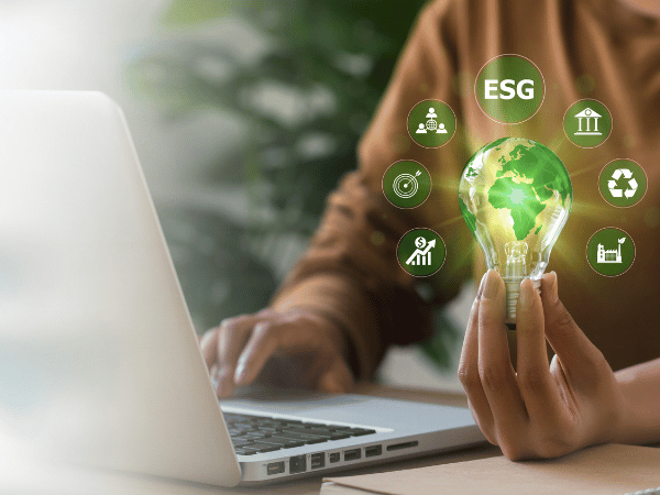 Sustainability Strategy and Implementation